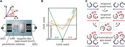 Chiral Magnetoacoustics